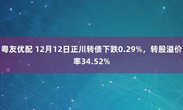 粤友优配 12月12日正川转债下跌0.29%,转股溢价率34.52%