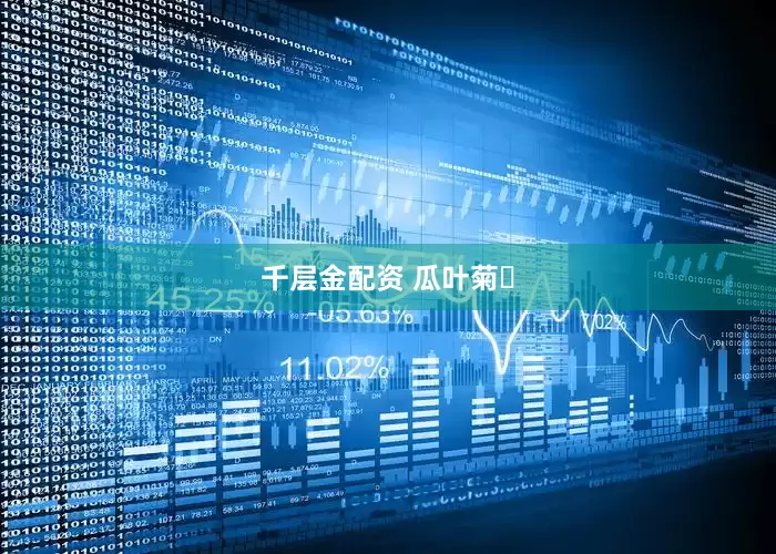 千层金配资 瓜叶菊‌